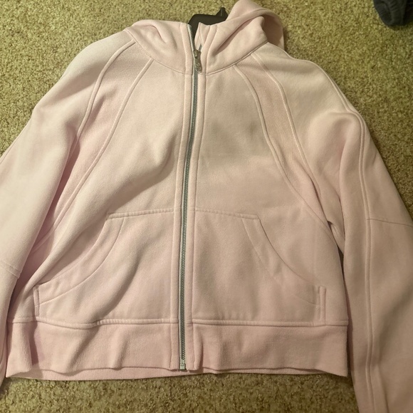 Pink Lulu Cropped Scuba - Picture 1 of 3